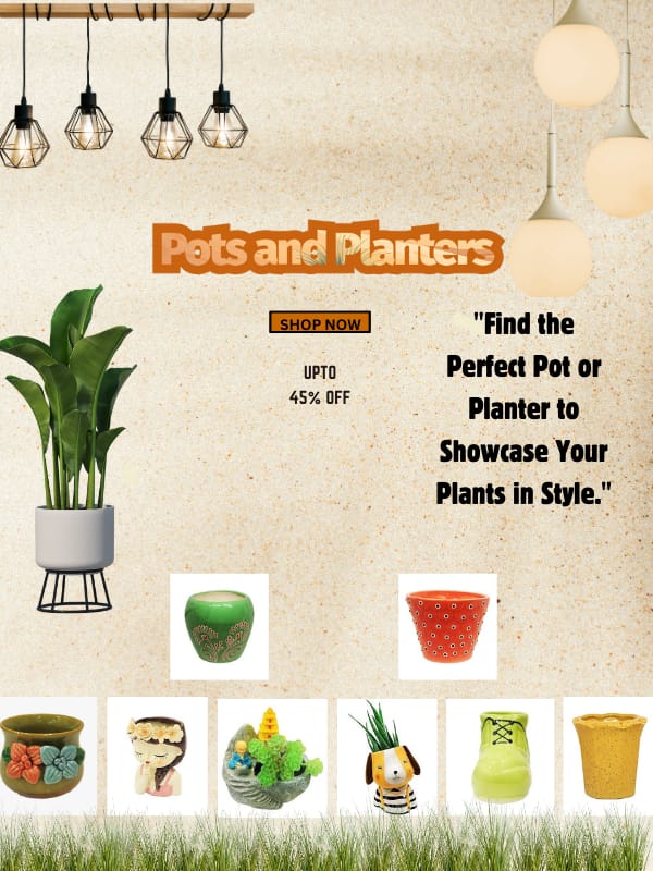 POTS & PLANTERS
