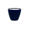  Ceramic Planter Pot Indoor Ourdoor Plants,Home and Garden Decor, Decorative Succulents Pot (Size:5 Inches) (Blue)